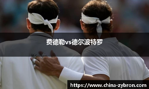 费德勒vs德尔波特罗