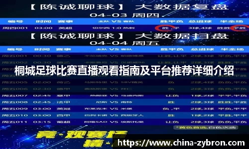 桐城足球比赛直播观看指南及平台推荐详细介绍