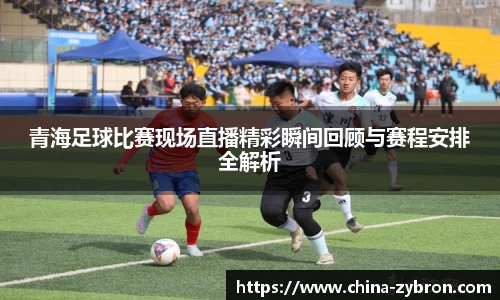 青海足球比赛现场直播精彩瞬间回顾与赛程安排全解析