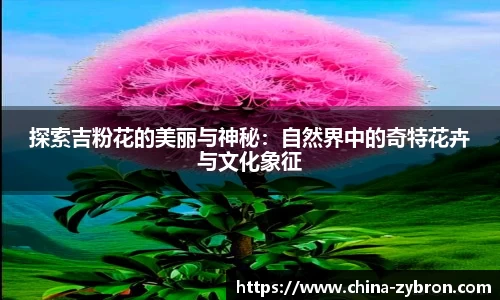 探索吉粉花的美丽与神秘：自然界中的奇特花卉与文化象征